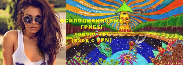ГАЛЛЮЦИНОГЕННЫЕ ГРИБЫ Бабаево
