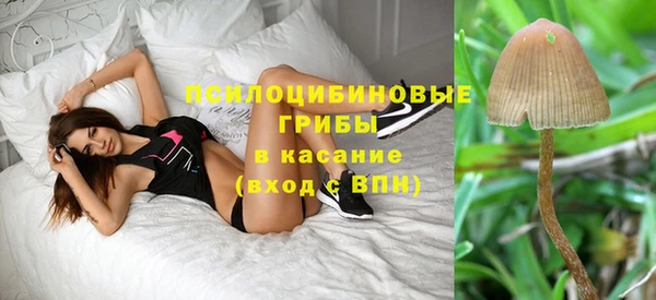 бутират Вяземский