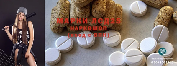 крисы Вязьма